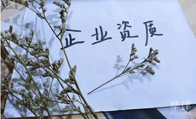 食品生产许可证编号怎么查询（食品生产许可证编号查询）