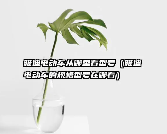 雅迪电动车查型号在哪里查（电动车查型号）