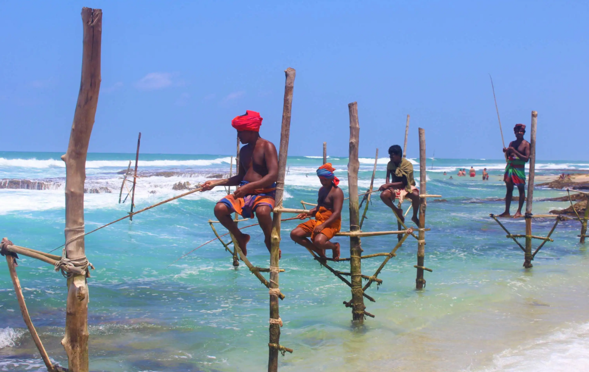 斯里兰卡旅游的最佳时间是什么时候（最佳旅游季节）